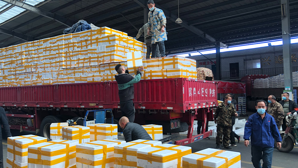 同心抗疫  共克时艰  米优最新版本助力驰援吉林蔬菜保供