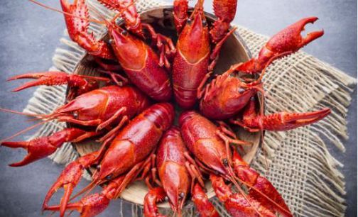 小龙虾供应链上的餐企混战:价格还能涨多久?