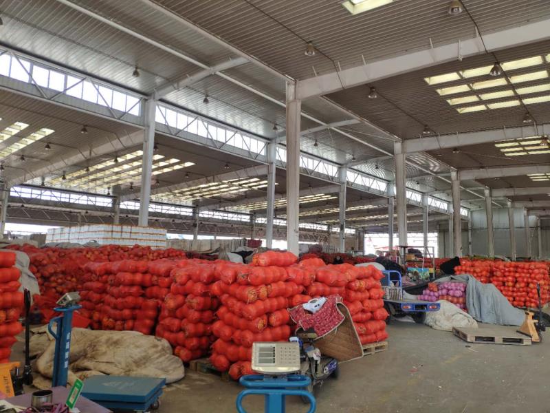 河北新发地防疫保供